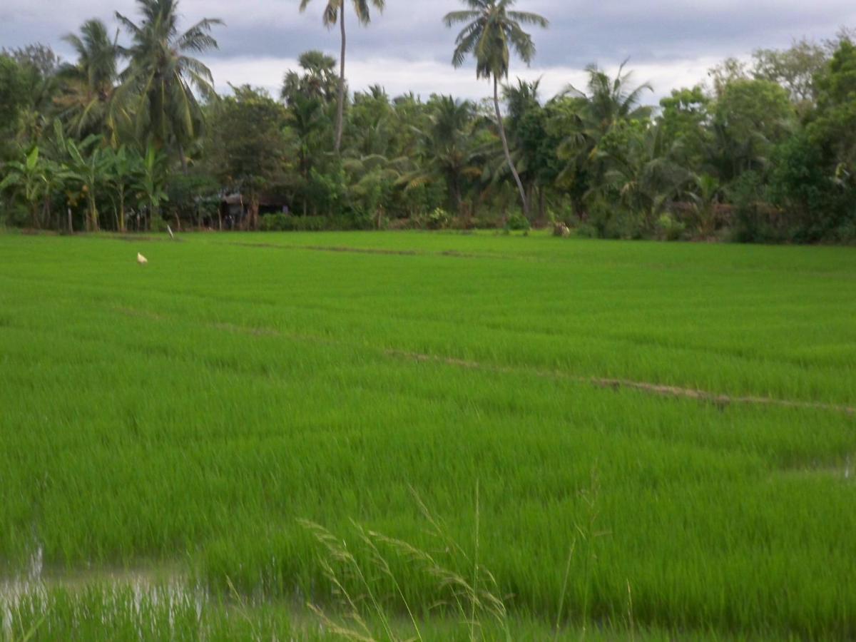 The Green View Yala Tissamaharama Exterior foto